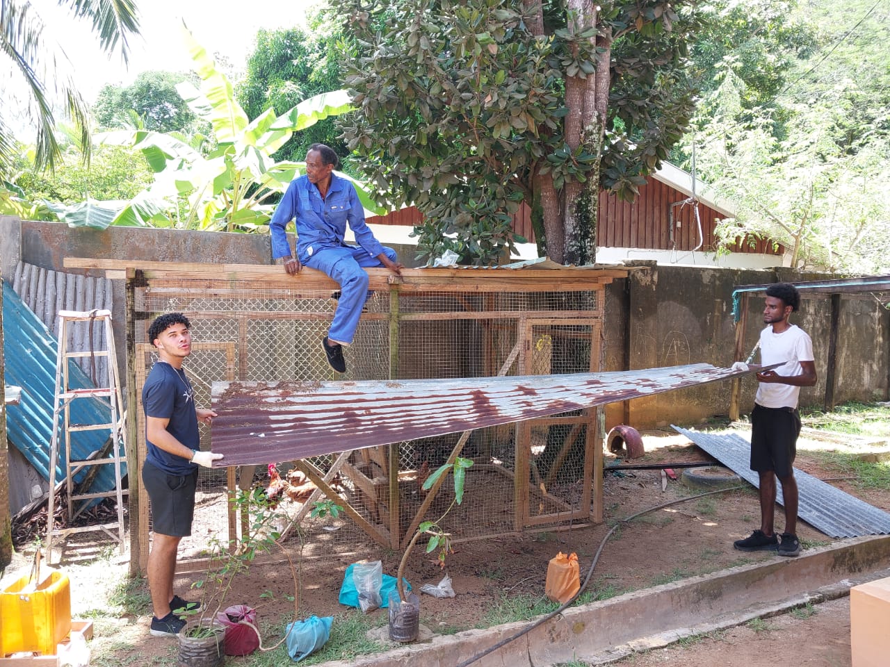 SIAH repairing facilities at Anse Royale Primary School