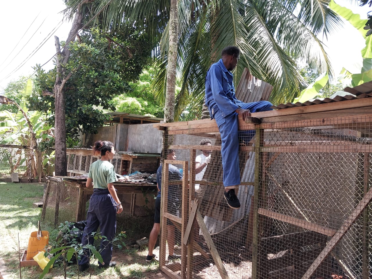 SIAH students working on the Anse Royale school nursery