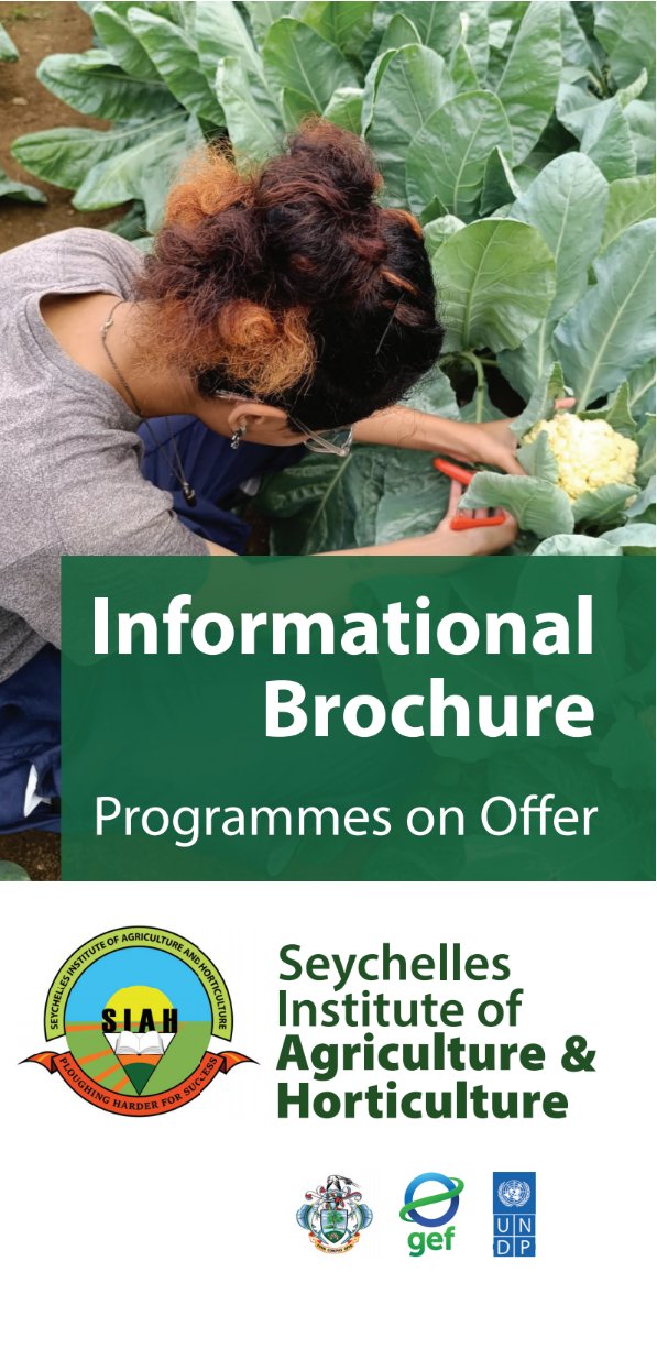 SIAH Informational Brochure Cover