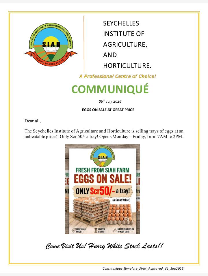 Eggs on Sale at Great Price - SOLD OUT | SIAH Public Communique