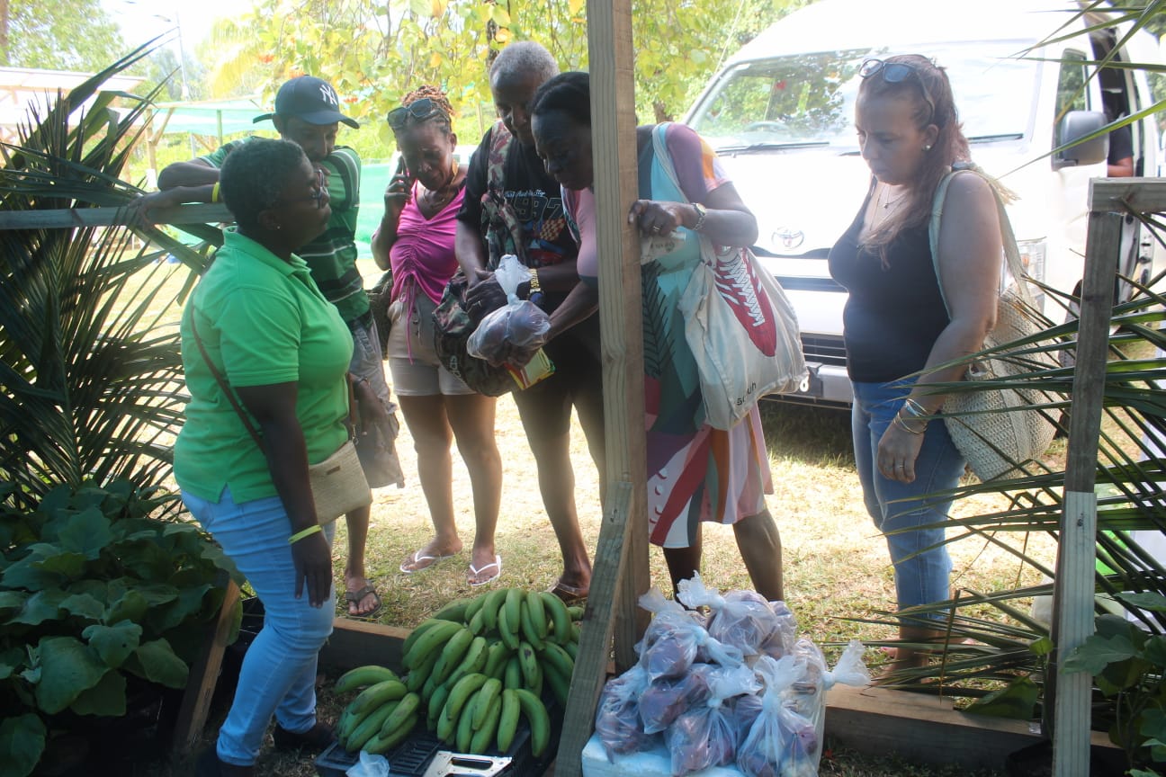 Visitors browsing and buying fresh produce