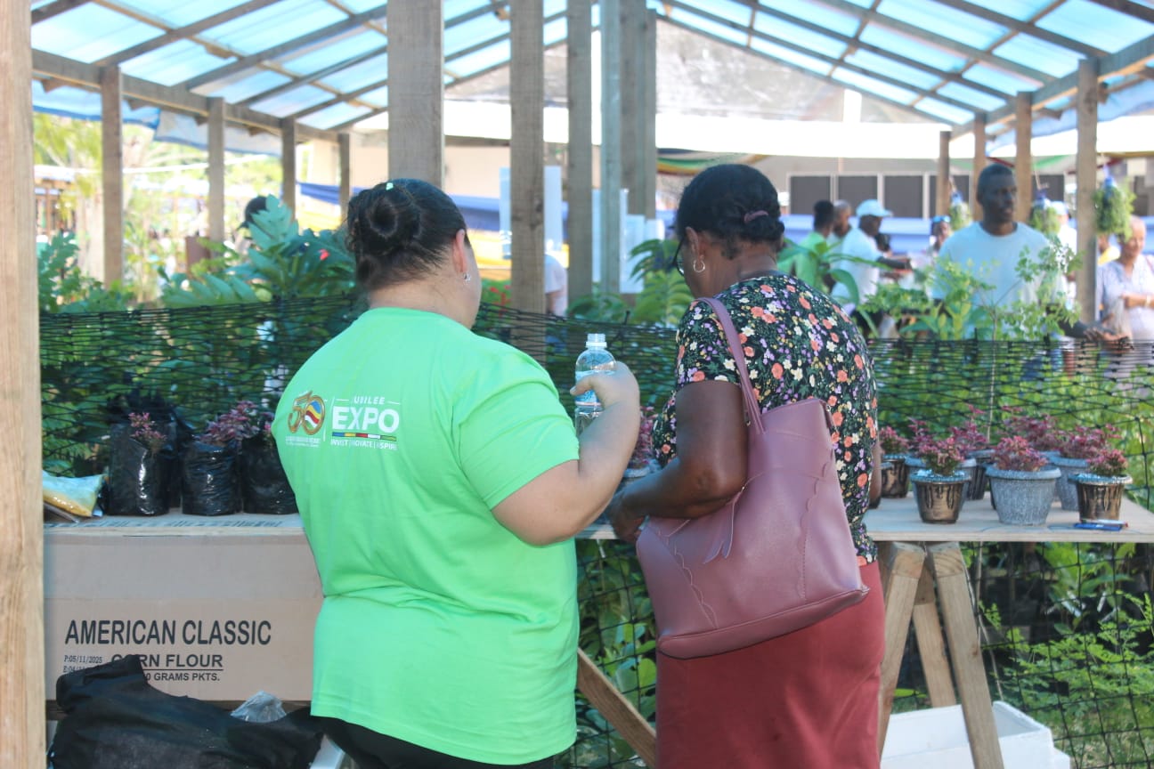 SIAH staff at the plant and seedling stall